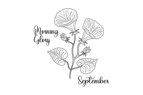 September Morning Glory Embroidery